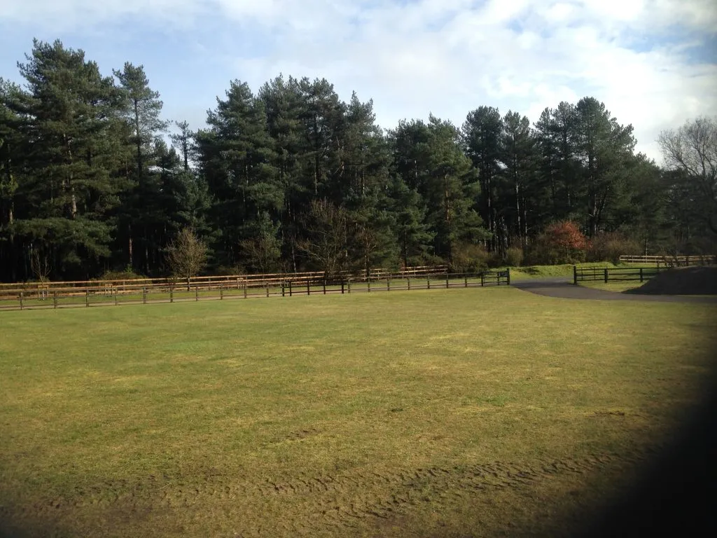 Kings Forest Holidays
